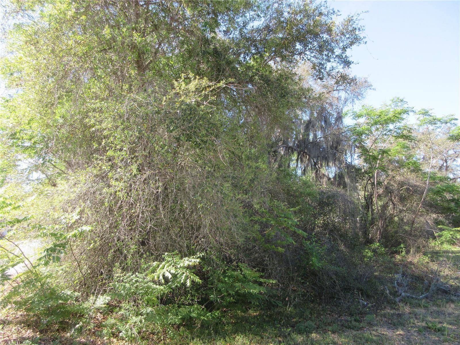 Silver Springs, FL 34488,0 SE 188TH AVE
