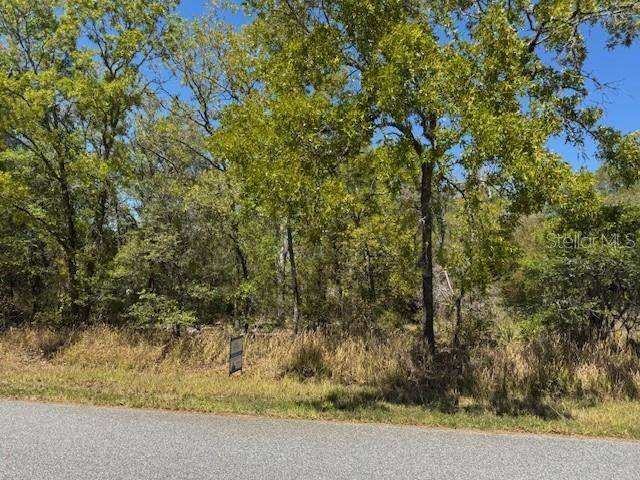 Ocala, FL 34472,ELM LOOP