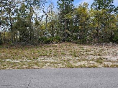 Ocala, FL 34473,00 SW 77TH AVE