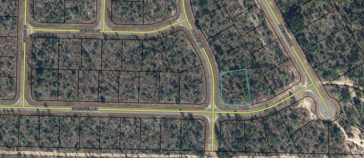 Chipley, FL 32428,00 CORONET DR