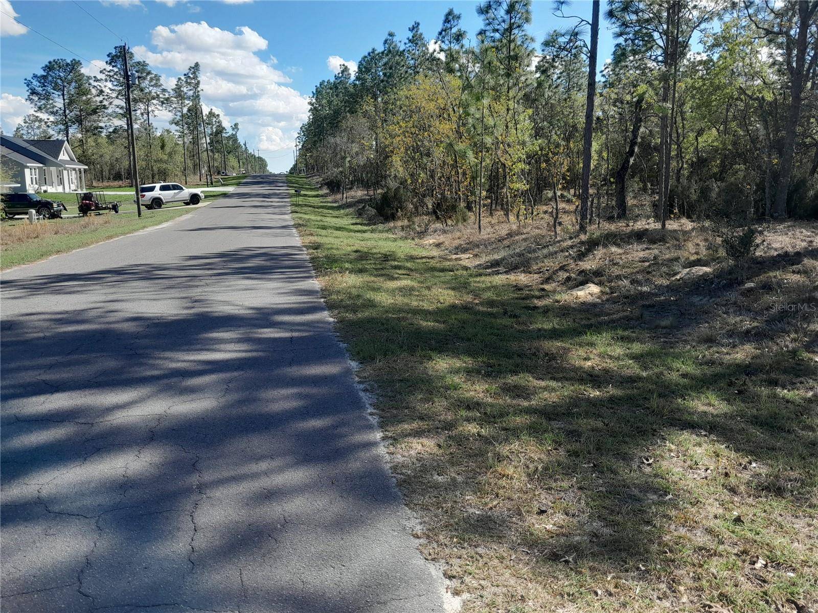 Williston, FL 32696,tbd NE 150TH AVE