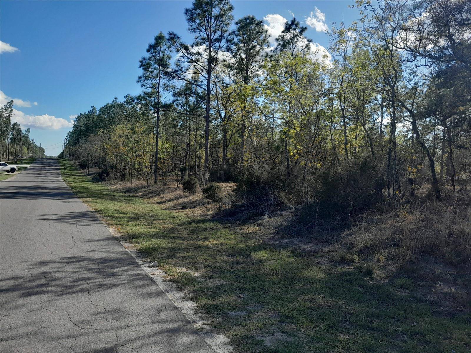 Williston, FL 32696,tbd NE 150TH AVE