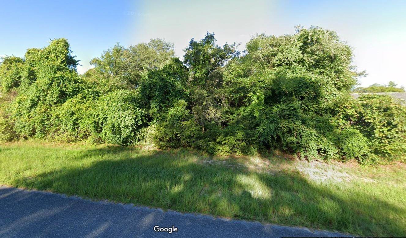 Ocala, FL 34473,TBD SW 24TH CIR