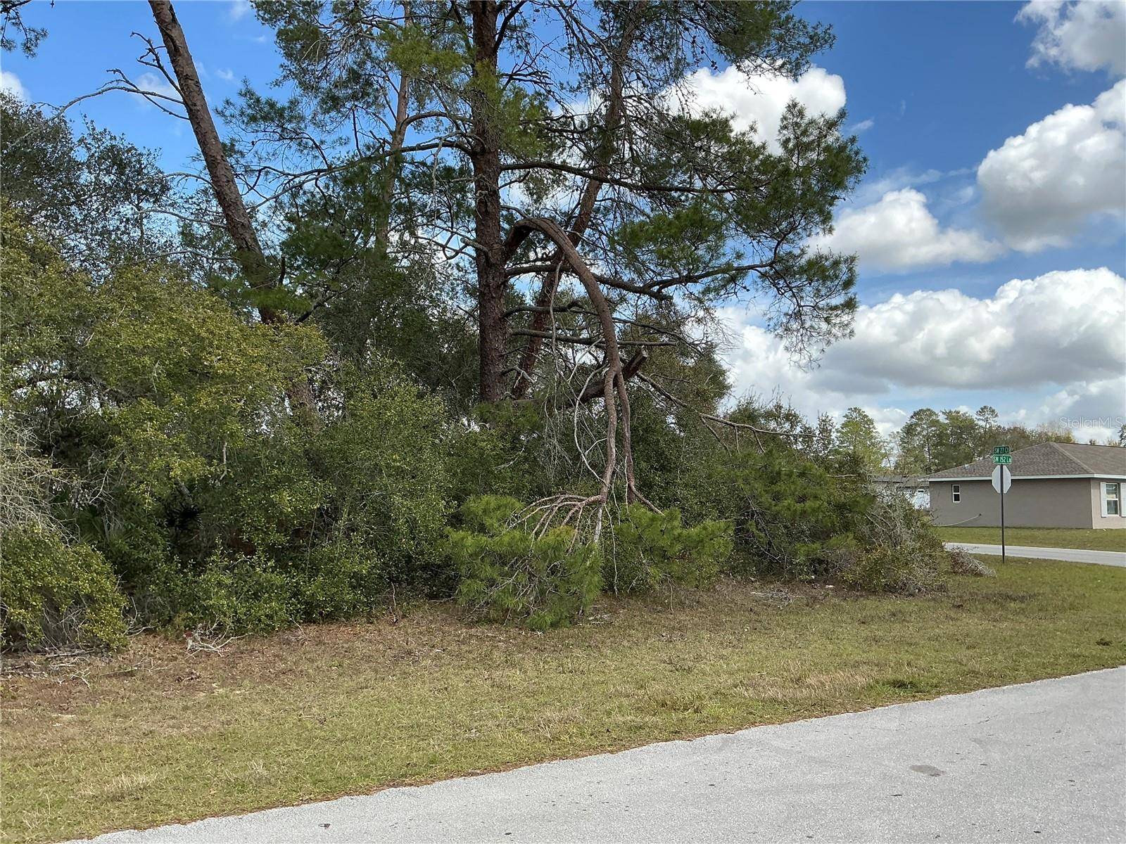 Ocala, FL 34473,0 SW 152ND LN