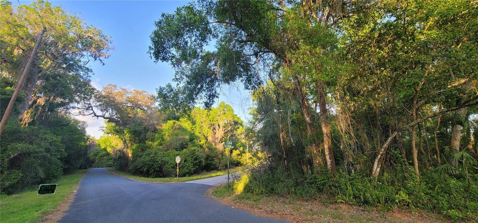 Floral City, FL 34436,10538 E BOBLINK LN