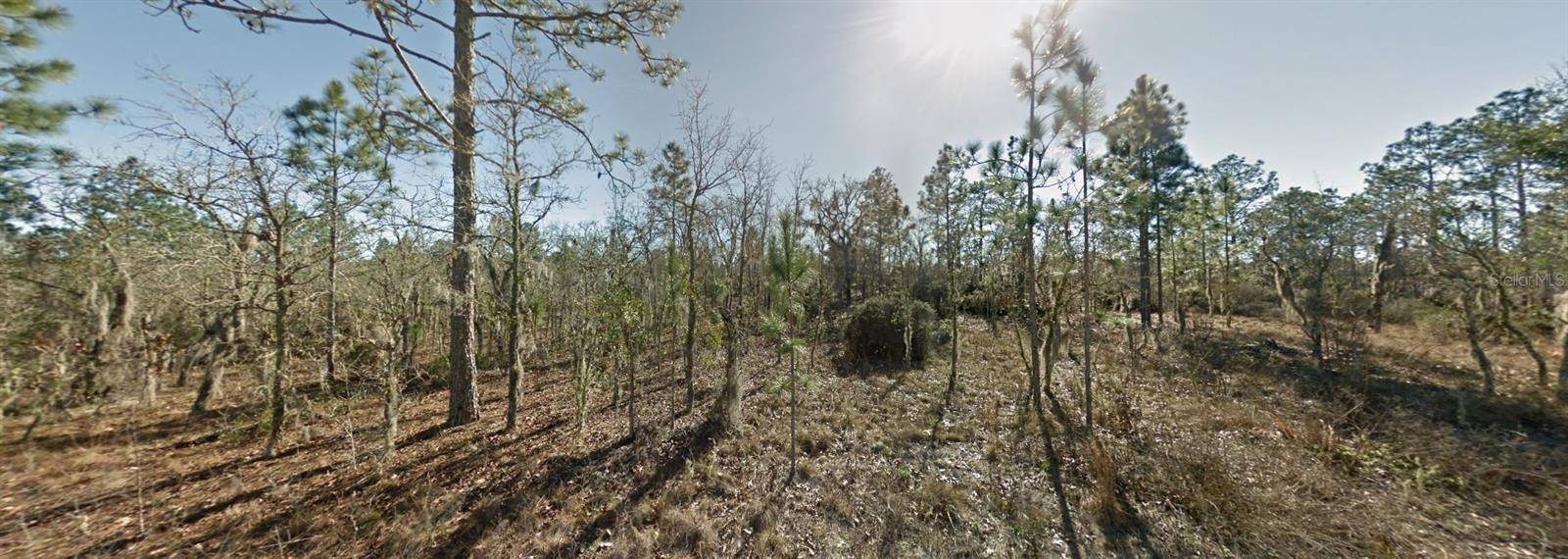 Williston, FL 32696,TBD NE 16TH LN