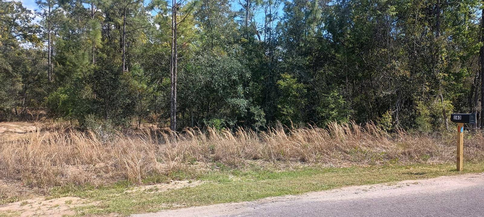 Ocklawaha, FL 32179,164 GUAVA PASS