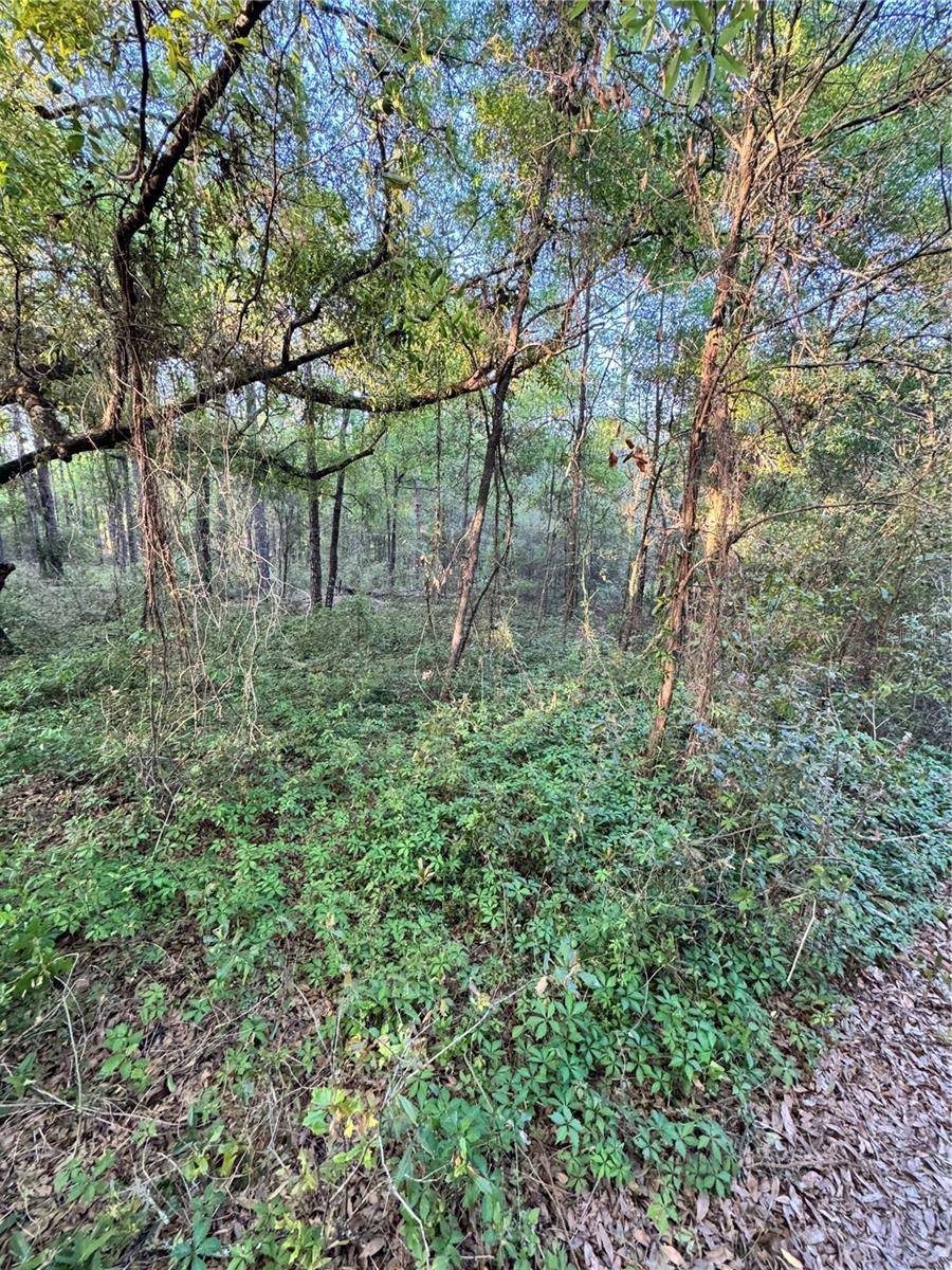 Ocala, FL 34481,TBD SW 21ST. ST
