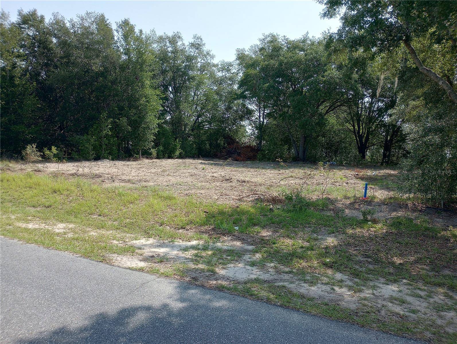 Ocala, FL 34473,TBD SW 128TH PL
