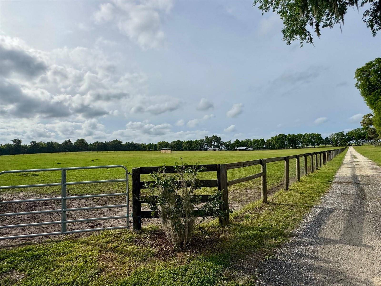 Reddick, FL 32686,5637 NW 165TH ST