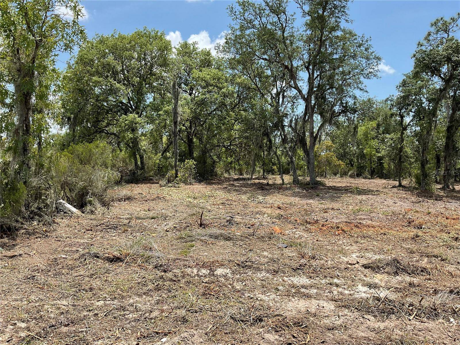 Williston, FL 32696,tbd NE 69TH ST