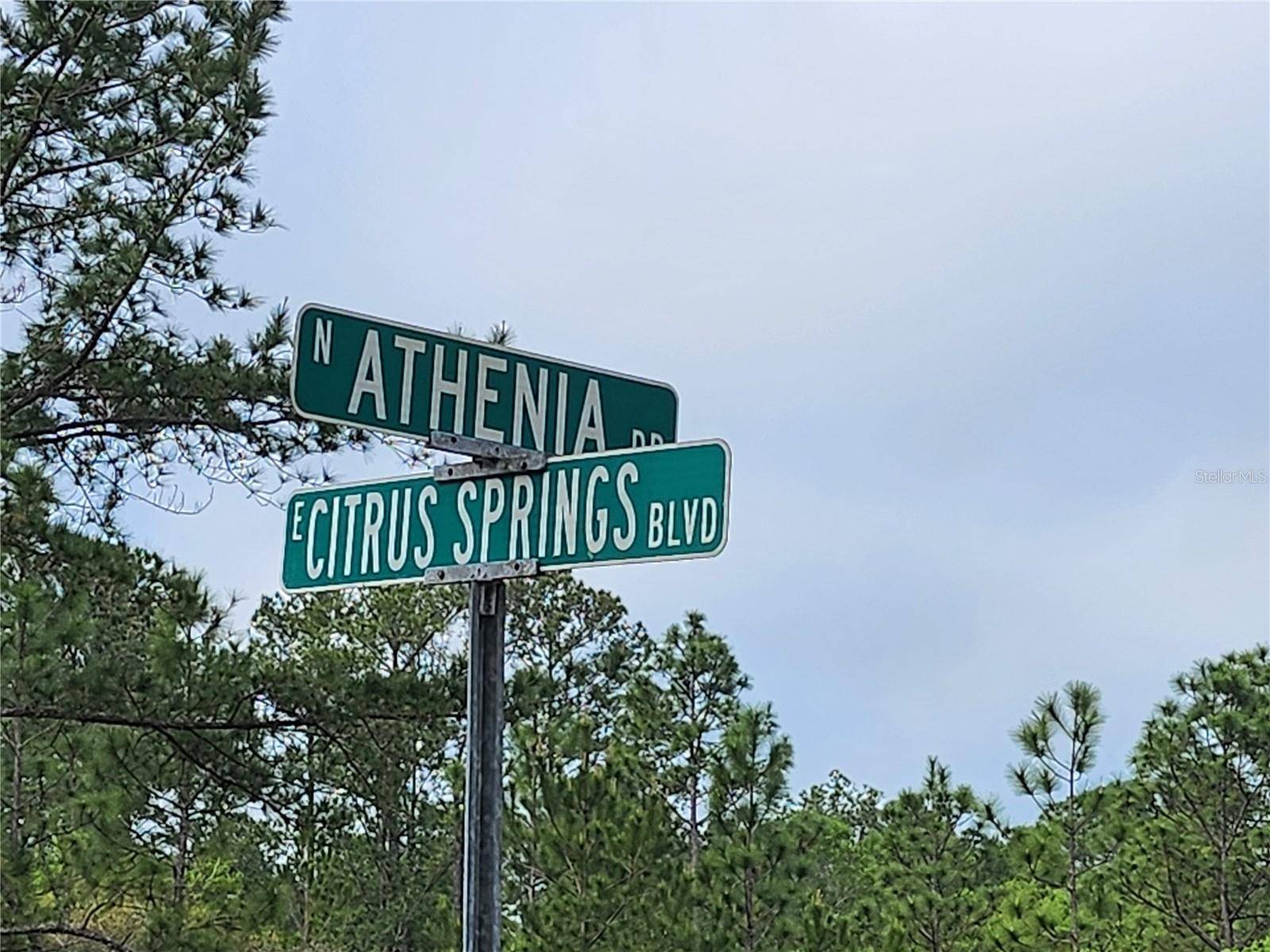 Dunnellon, FL 34434,9209 (Lot 19) N ATHENIA DR