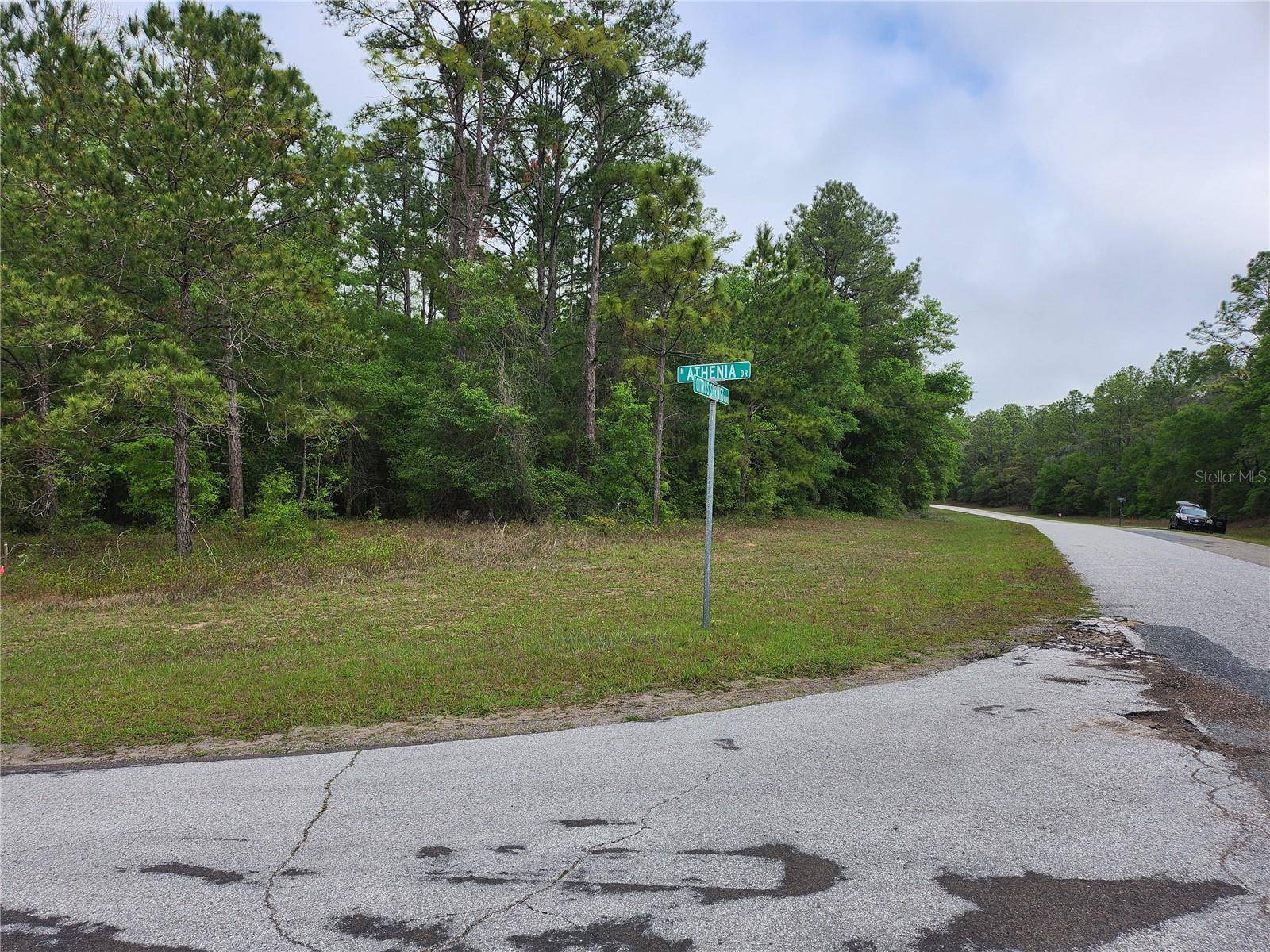 Dunnellon, FL 34434,9209 (Lot 19) N ATHENIA DR