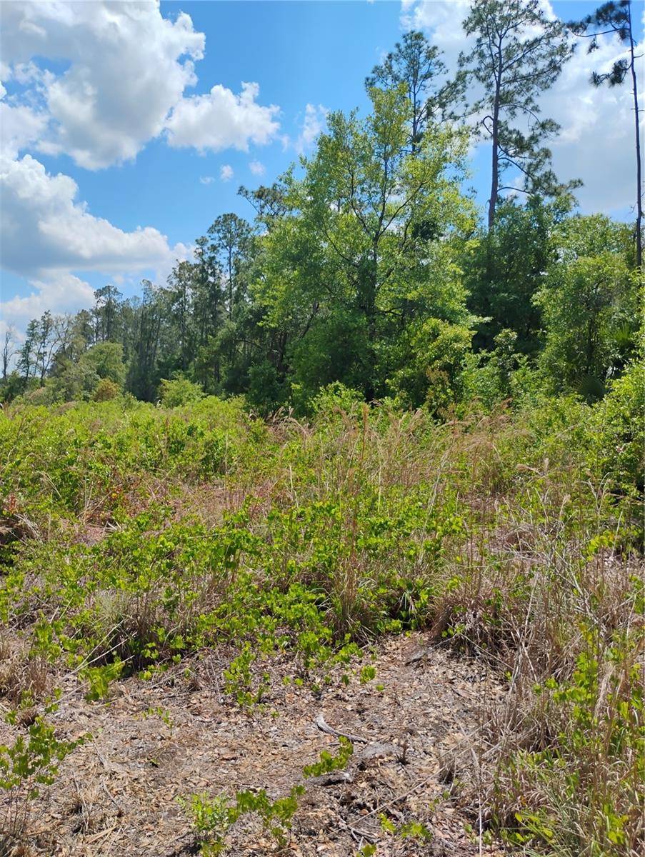 Morriston, FL 32668,TBD SE 121ST TER