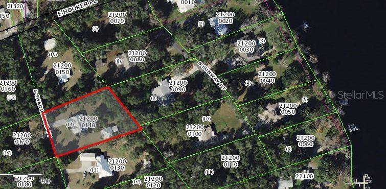 Floral City, FL 34436,6205 S SHADOWOOD PT