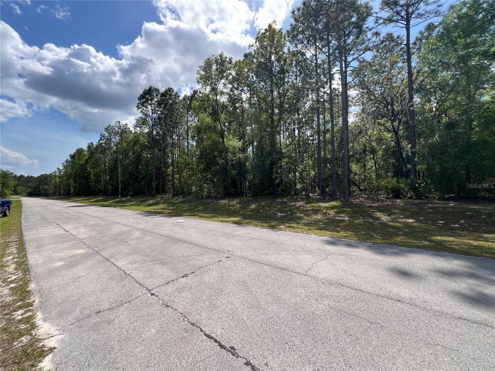 Ocala, FL 34473,SW 89 CIR