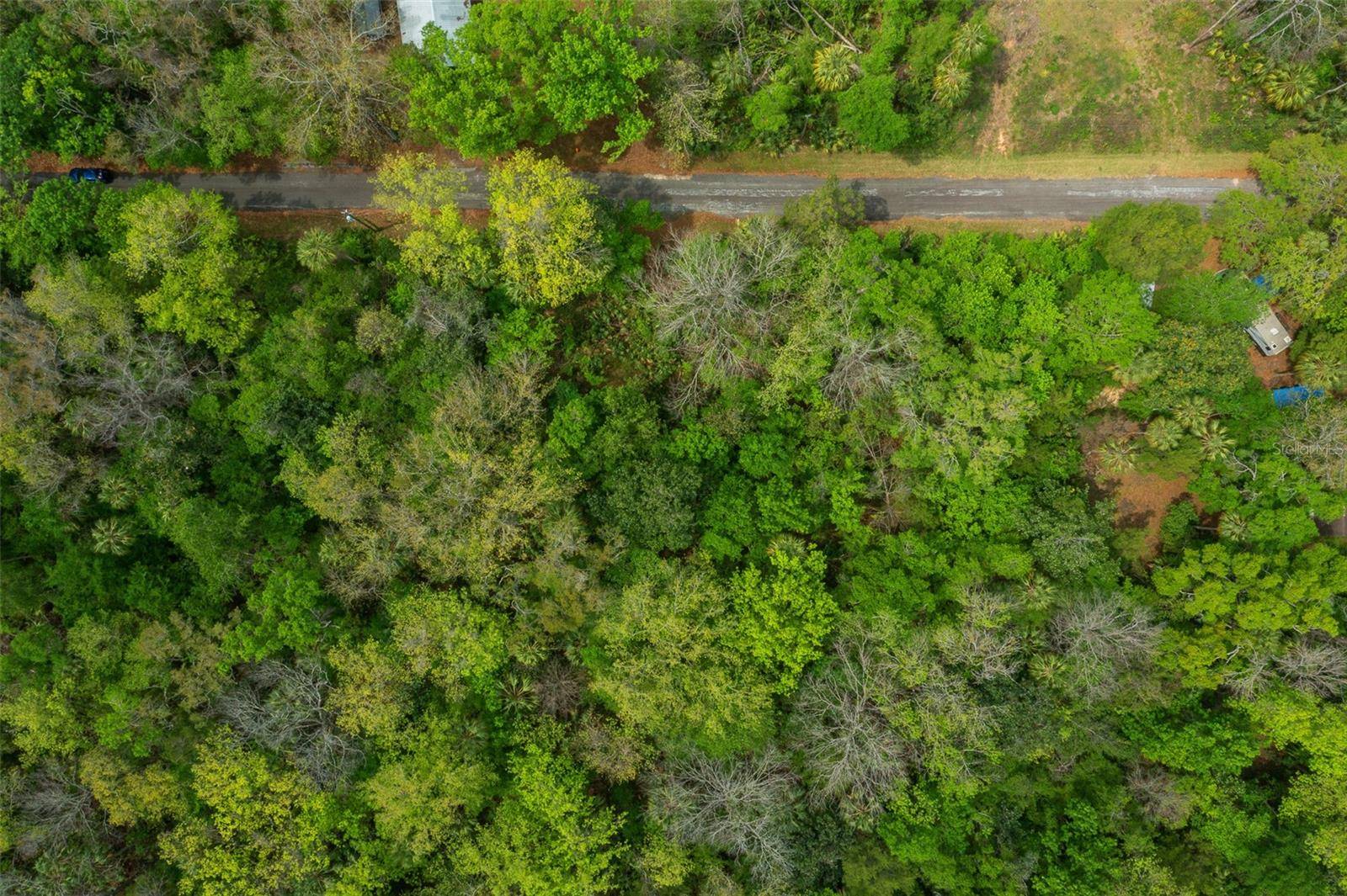 Homosassa, FL 34448,5043 S PALO VERDE PT