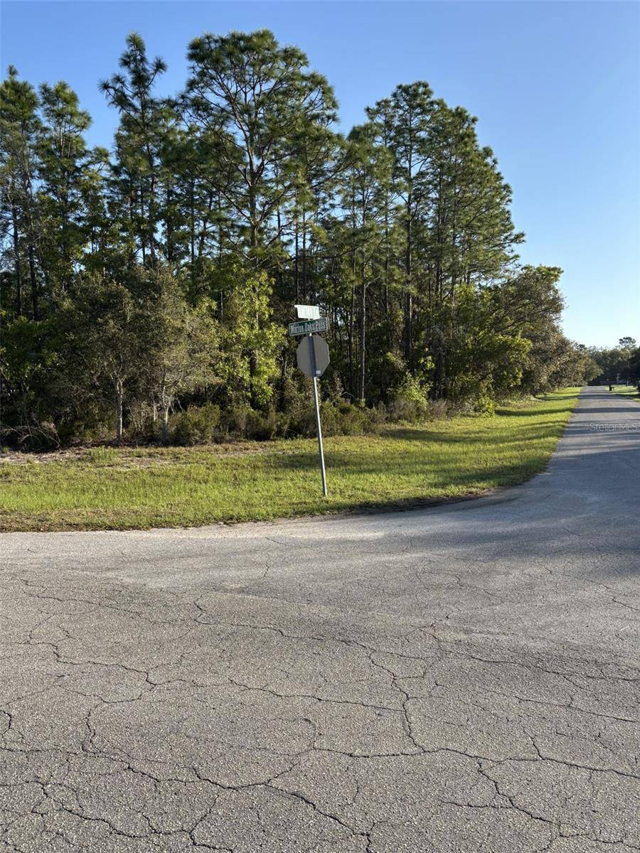 Ocala, FL 34473,0 SW 49TH LN