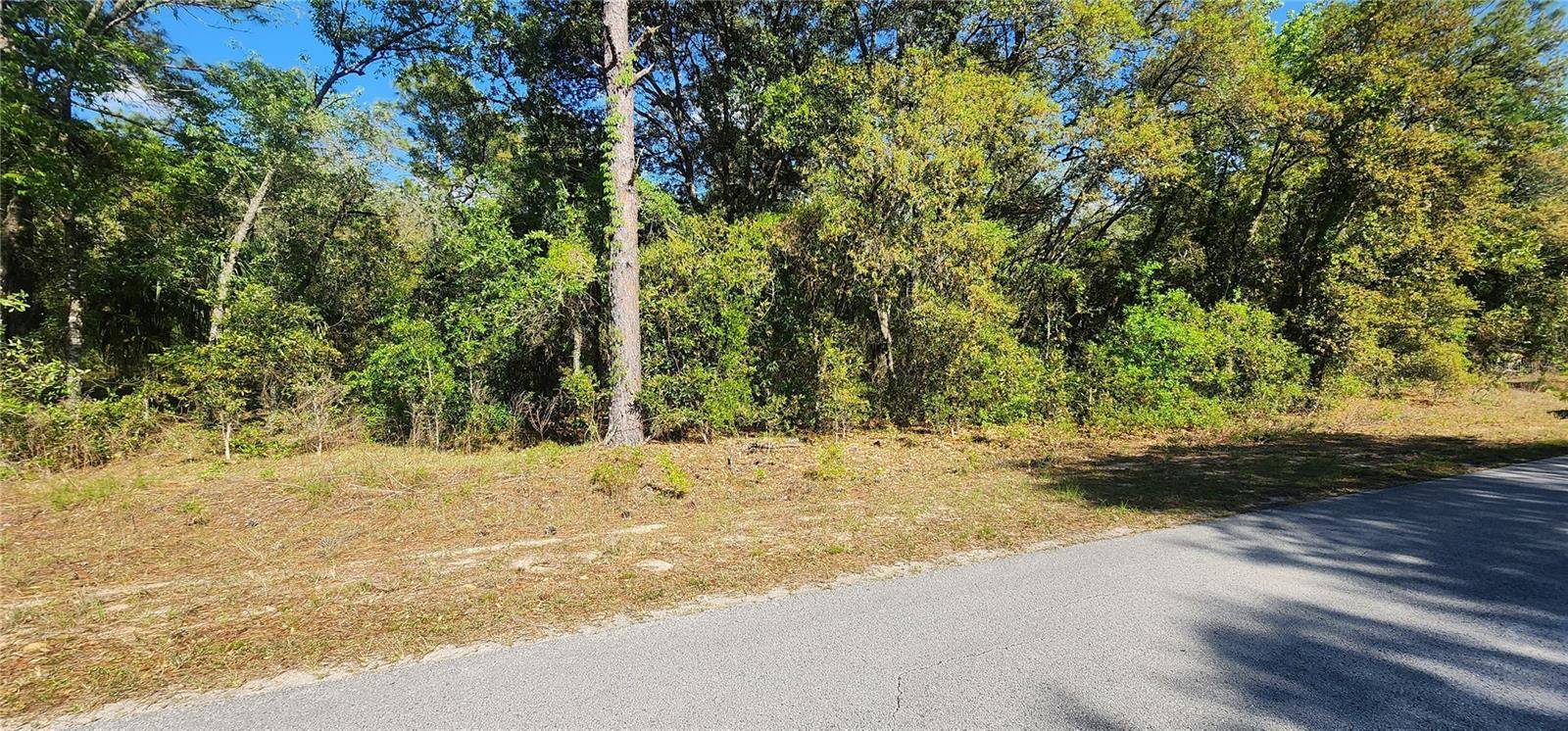 Dunnellon, FL 34431,TBD SW VIBURNUM RD