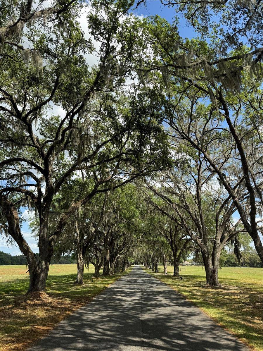Ocala, FL 34480,TDB SE 7TH COURT ROAD