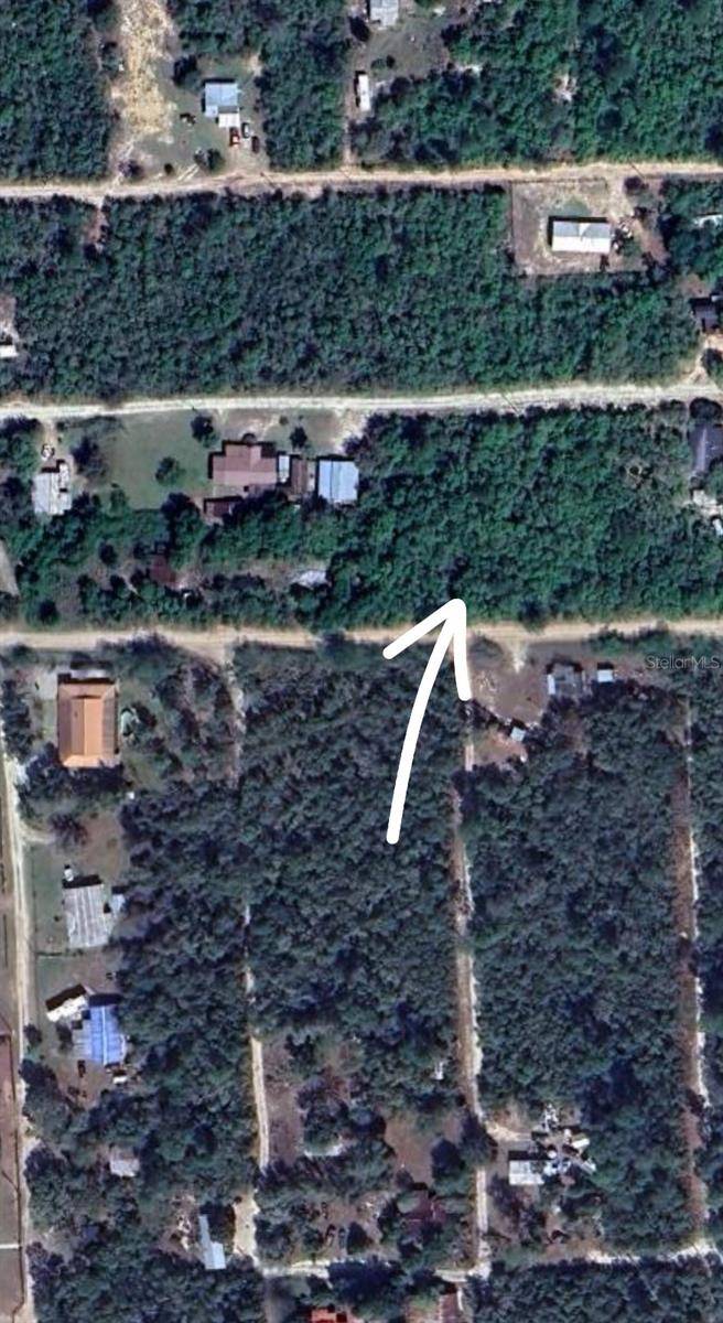Fort Mc Coy, FL 32134,LOT 4 NE 232 LN