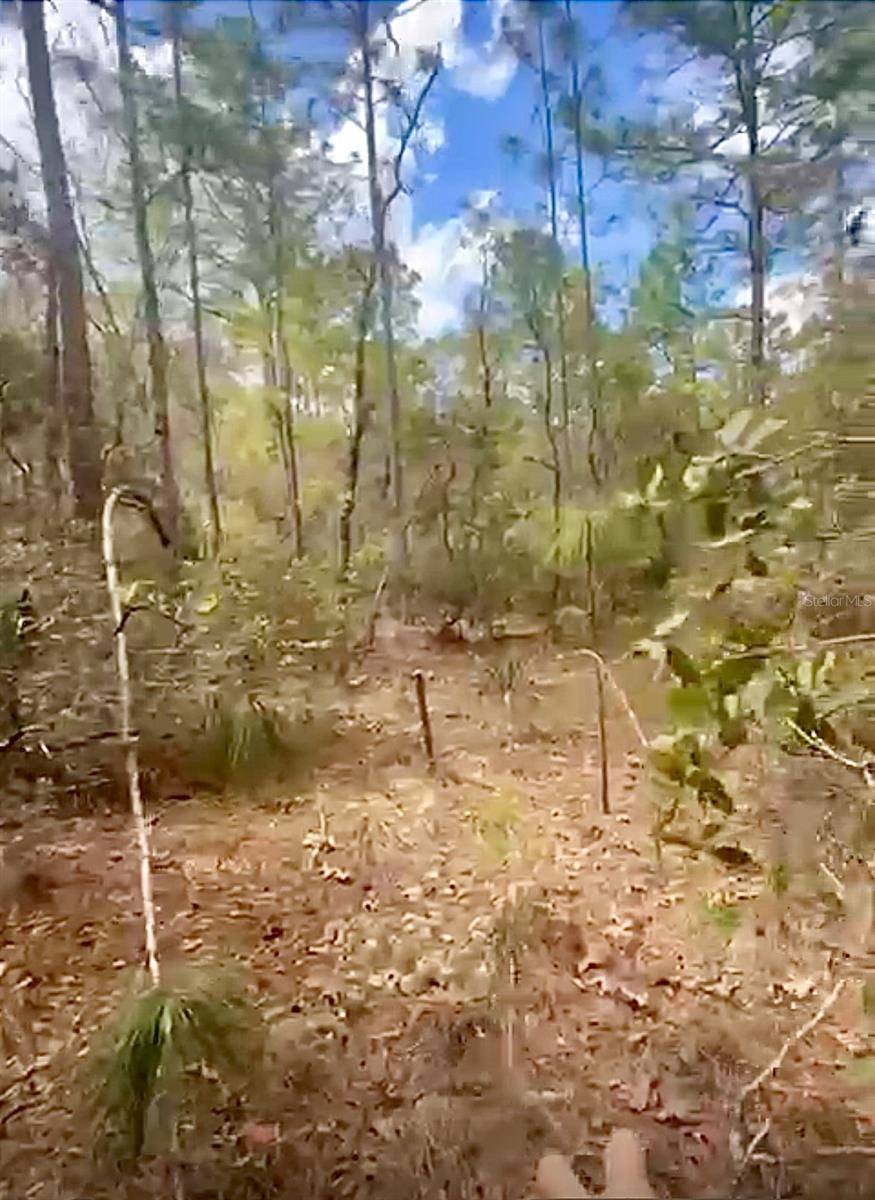 Citrus Springs, FL 34433,7329 N FIRWOOD CIR