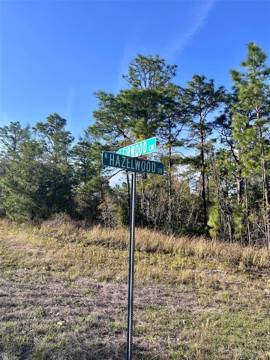 Citrus Springs, FL 34433,7329 N FIRWOOD CIR