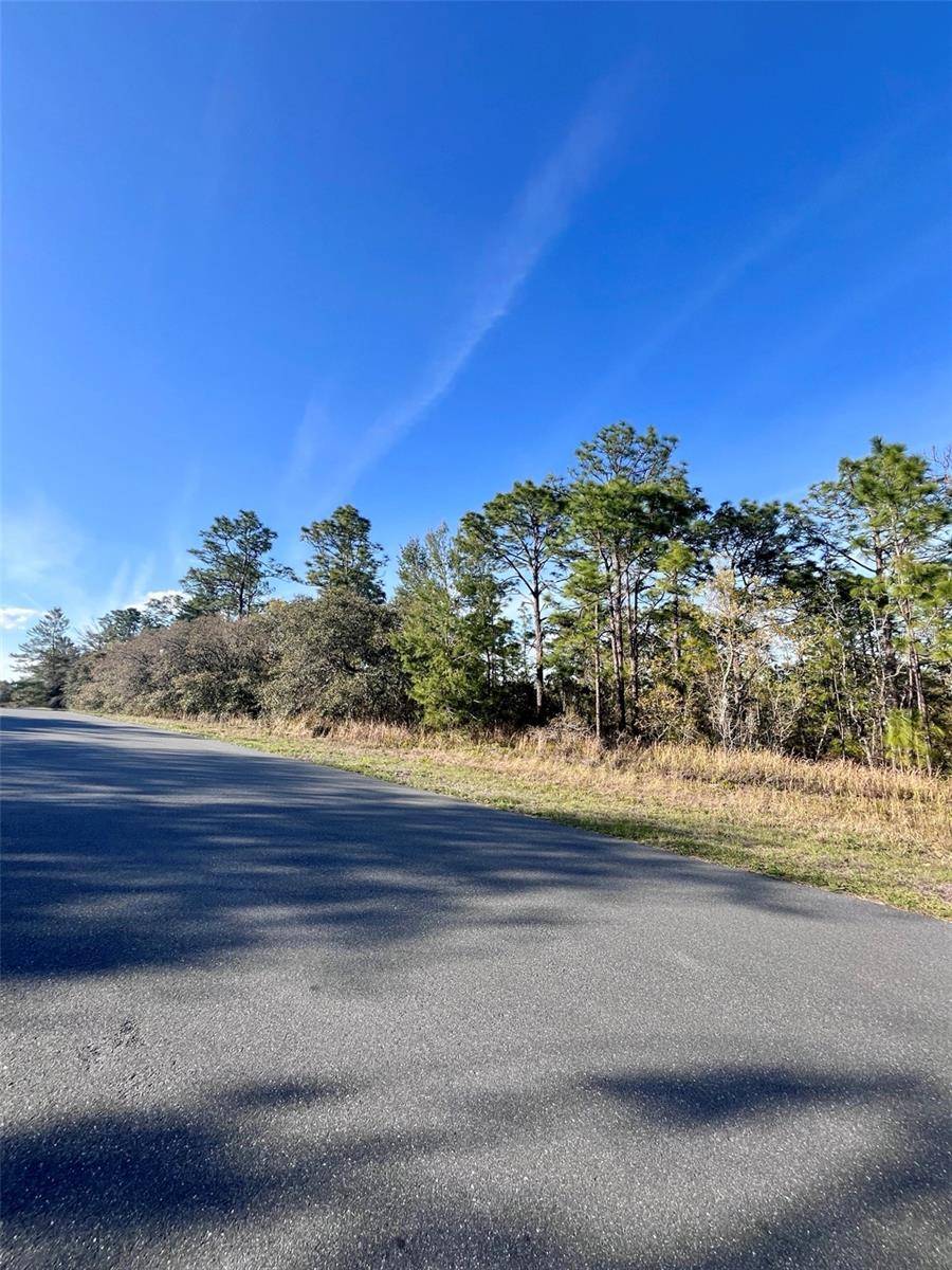 Citrus Springs, FL 34433,7329 N FIRWOOD CIR