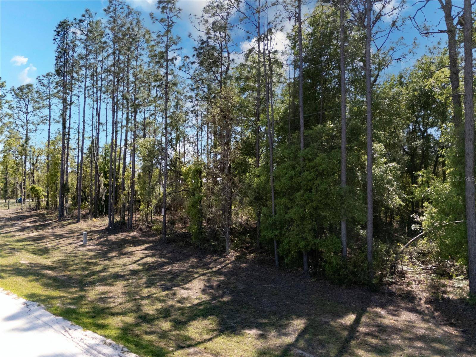 Archer, FL 32618,0 NE 101ST TER