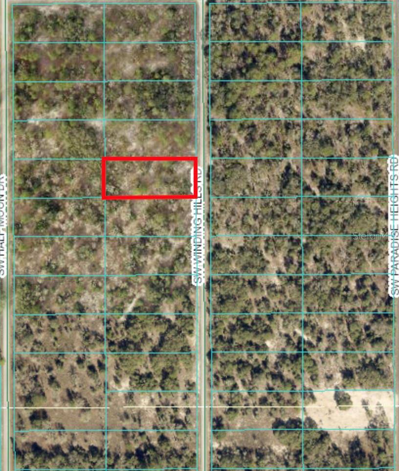 Dunnellon, FL 34431,TBD SW WINDMILL RD