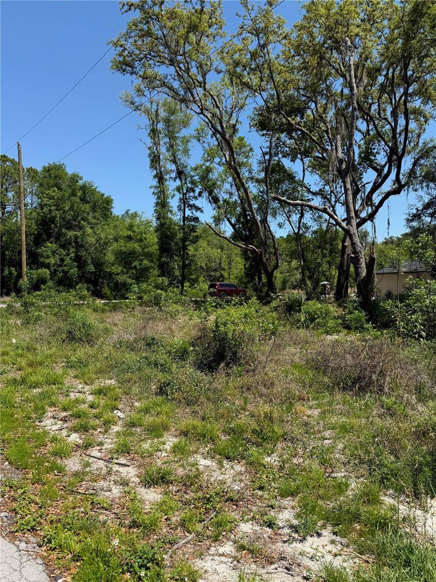 Ocala, FL 34472,TBD LOCUST DRIVE TRL