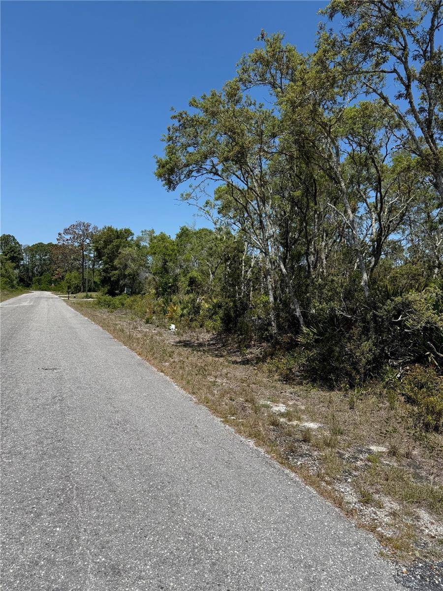 Ocklawaha, FL 32179,TBD FISHER LOOP PASS