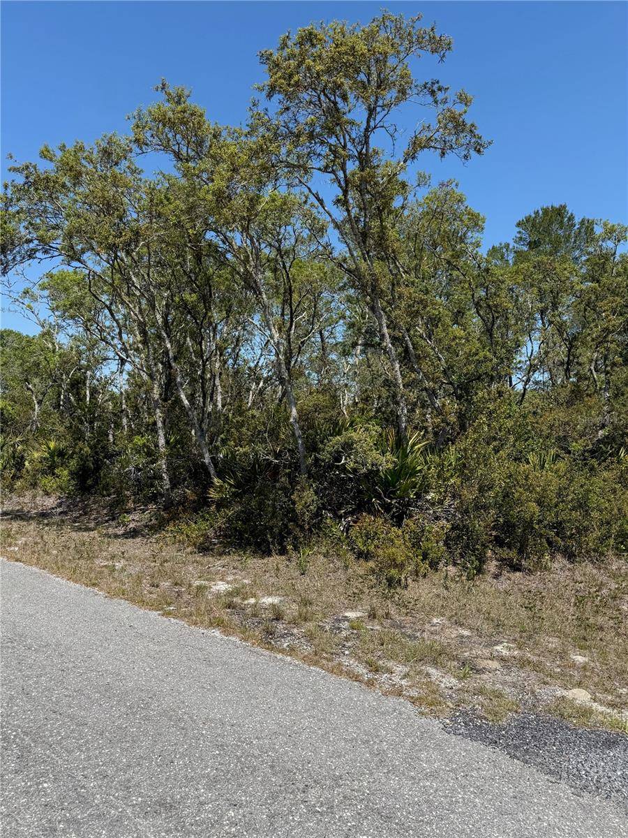 Ocklawaha, FL 32179,TBD FISHER LOOP PASS