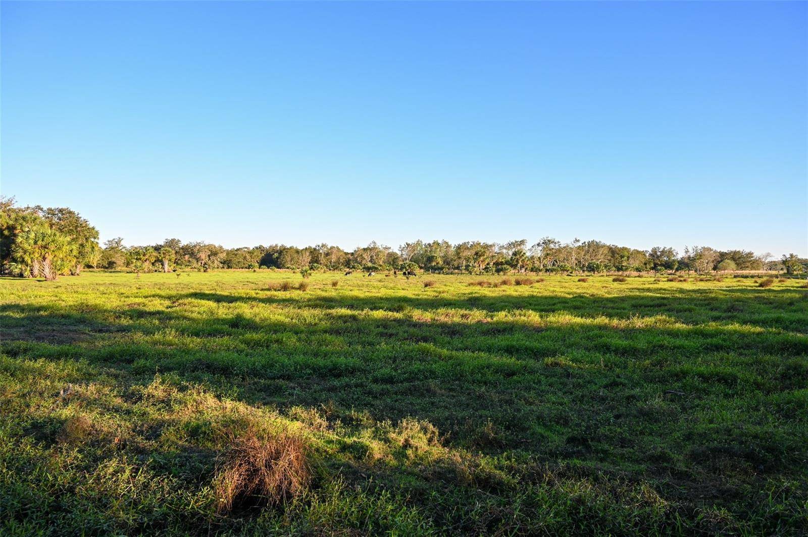Zolfo Springs, FL 33890,163 and 167 GOLDEN OAKS RD