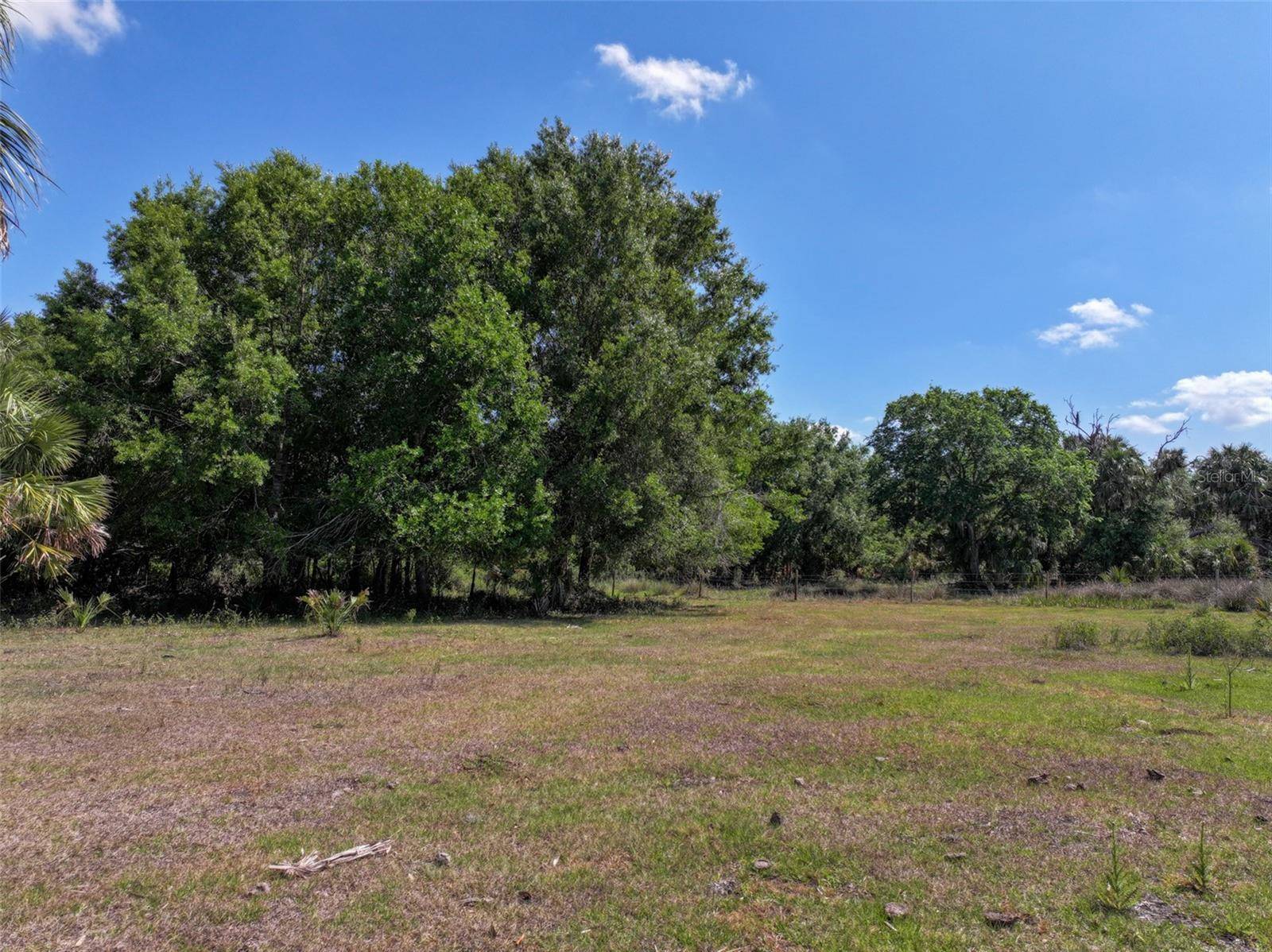 Zolfo Springs, FL 33890,163 and 167 GOLDEN OAKS RD