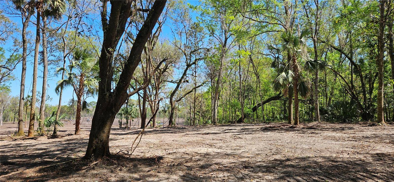 Micanopy, FL 32667,22ac NW 193RD ST