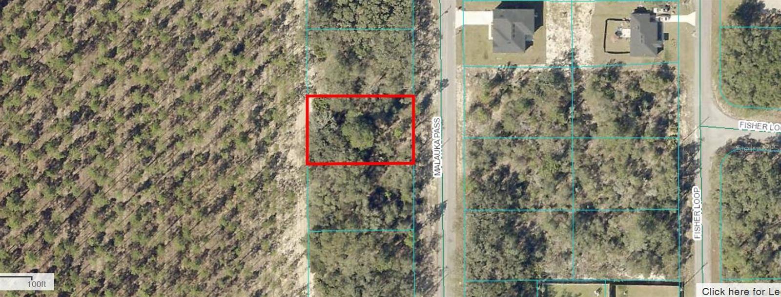 Ocklawaha, FL 32179,MALAUKA PASS