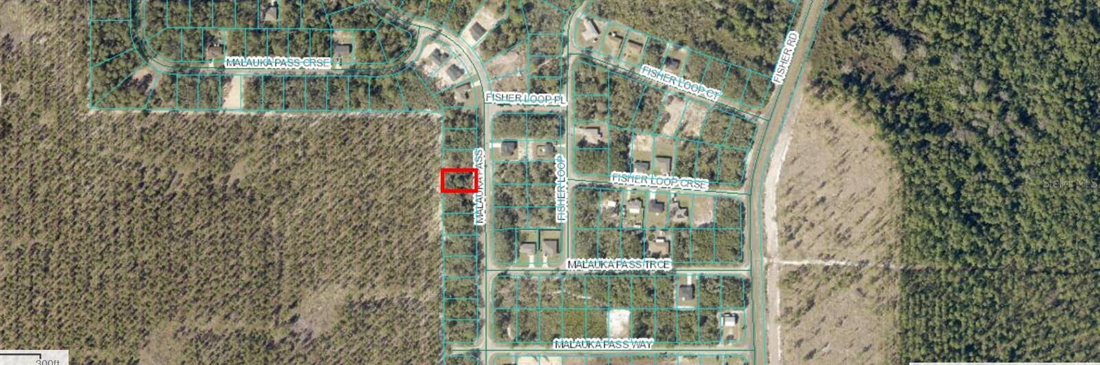 Ocklawaha, FL 32179,MALAUKA PASS