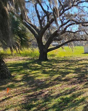 Summerfield, FL 34491,TBD SE 51ST TER