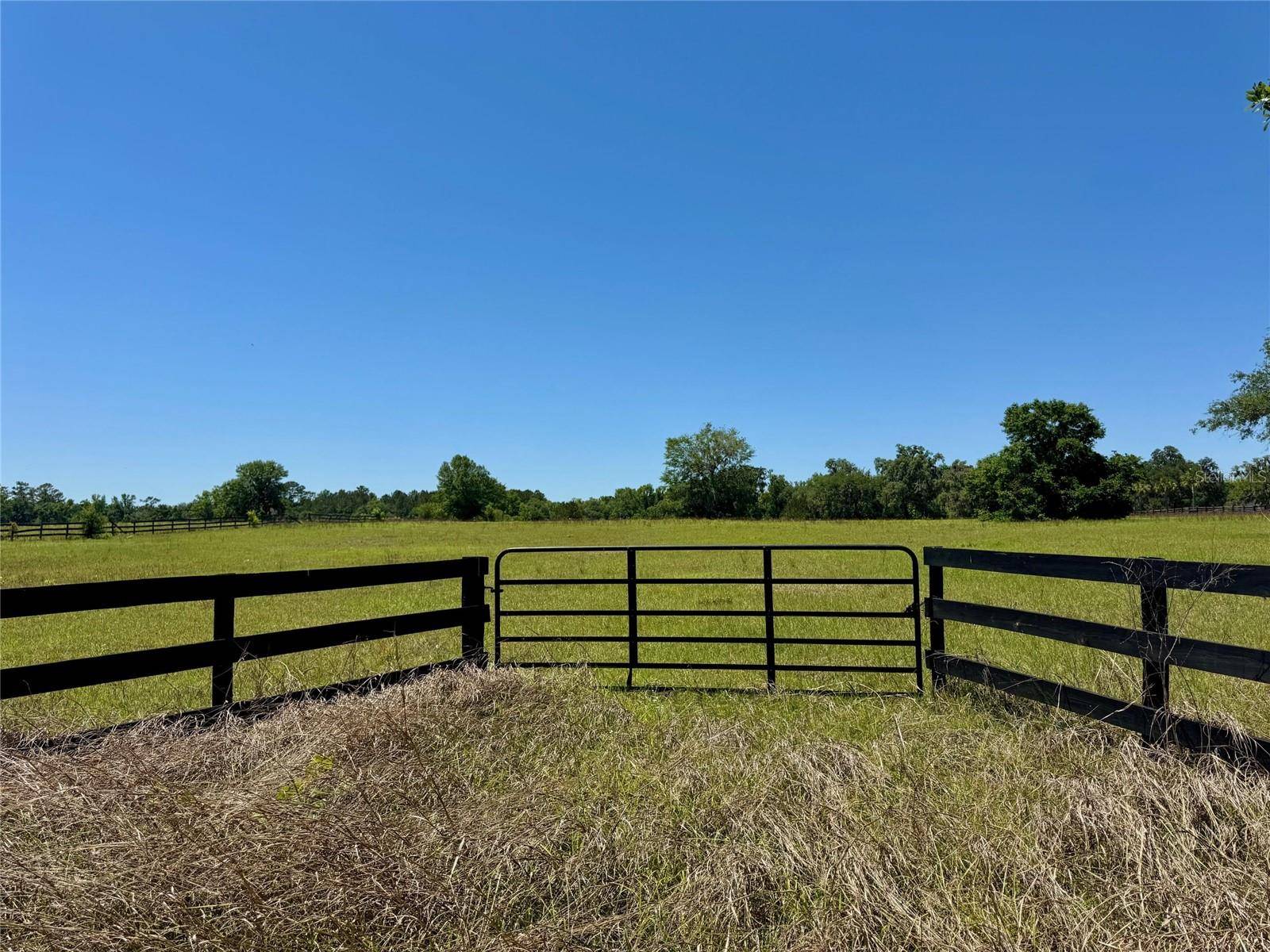 Ocala, FL 34482,TBD(21.76ac) NW 115 AVE