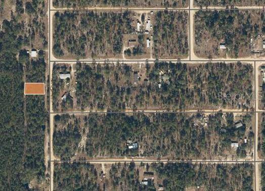 Interlachen, FL 32148,163 ROMANSHORN ST