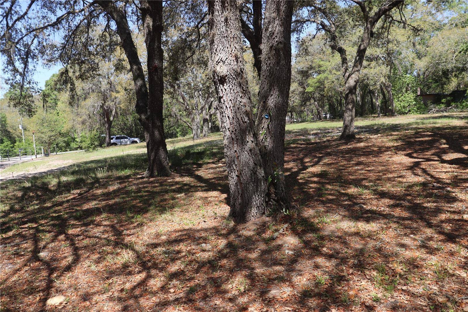 Dunnellon, FL 34432,4701 SW 181ST CT