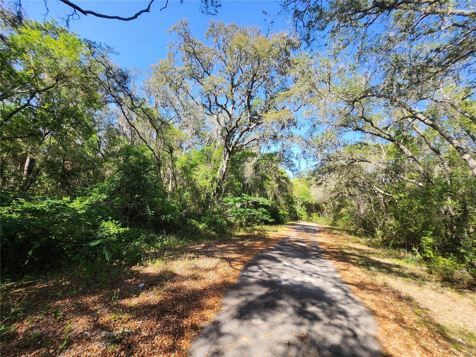 Ocklawaha, FL 32179,TBD GUAVA TERR LOOP