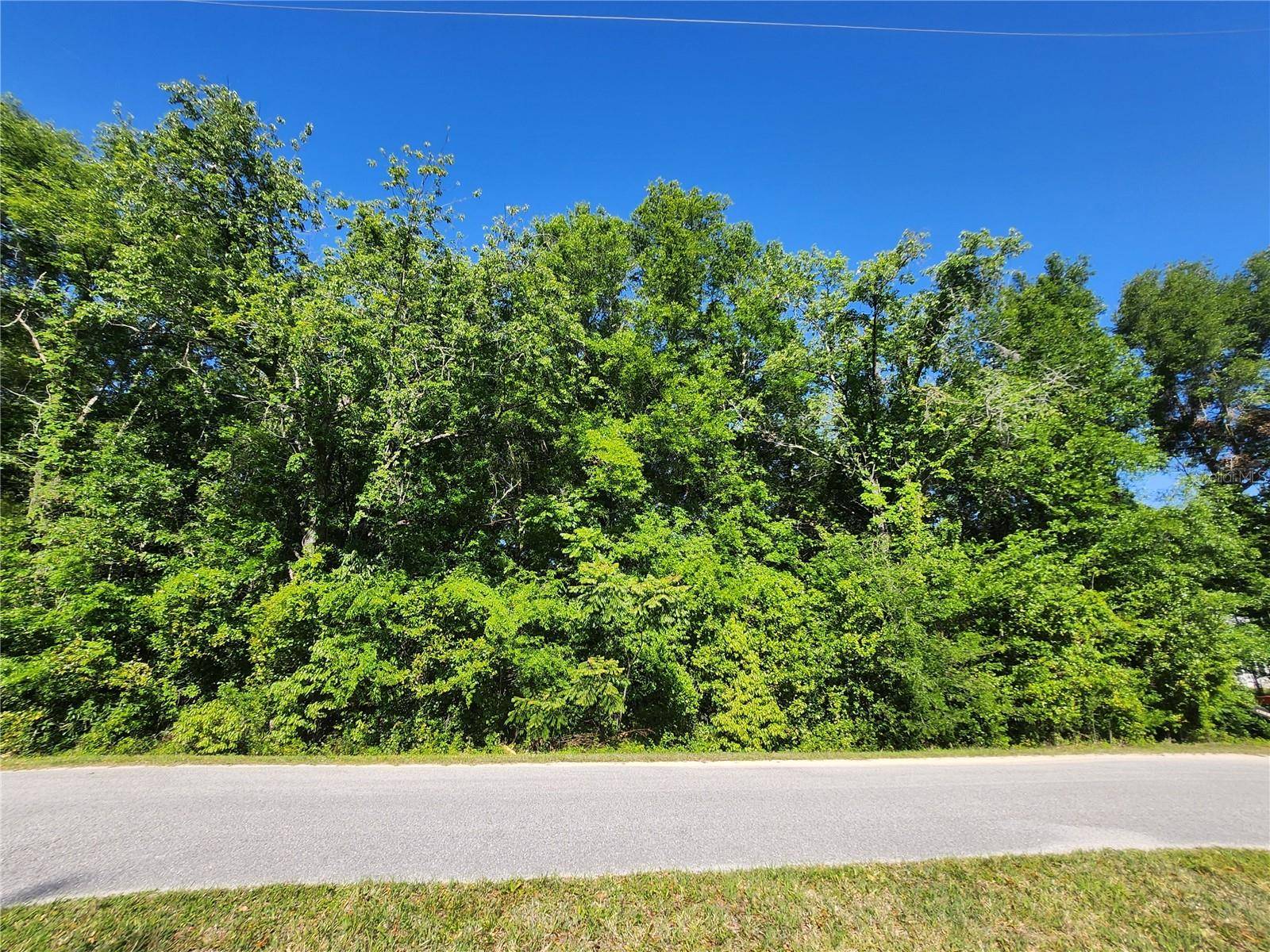 Dunnellon, FL 34431,TBD SW YAZOO CT