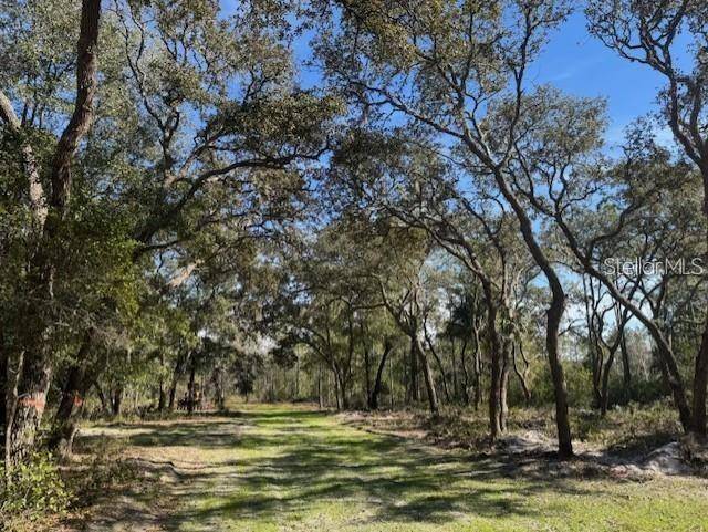 Fort Mc Coy, FL 32134,NE 150TH AVE RD #LOT 2