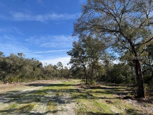 Fort Mc Coy, FL 32134,NE 150TH AVE RD #LOT 2