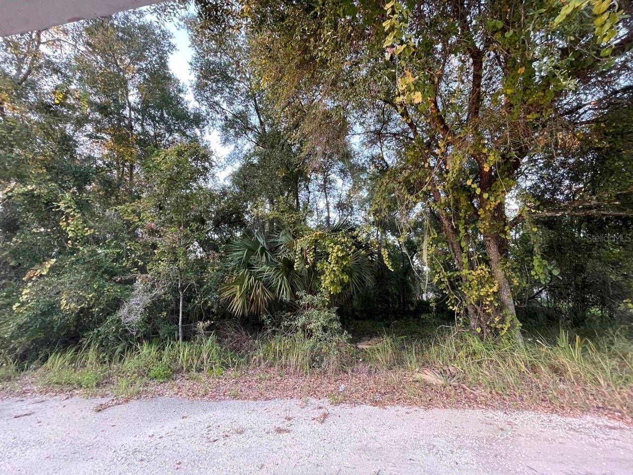 Salt Springs, FL 32134,NE 132ND ST
