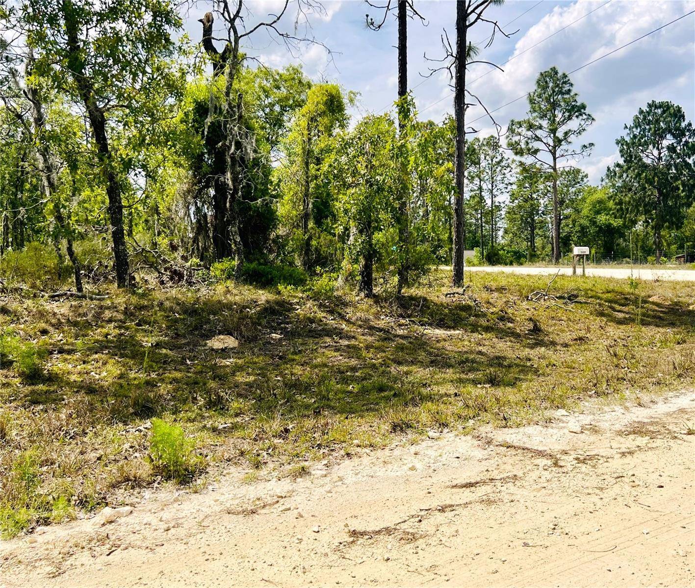Williston, FL 32696,0000 NE 132 TERRACE TER