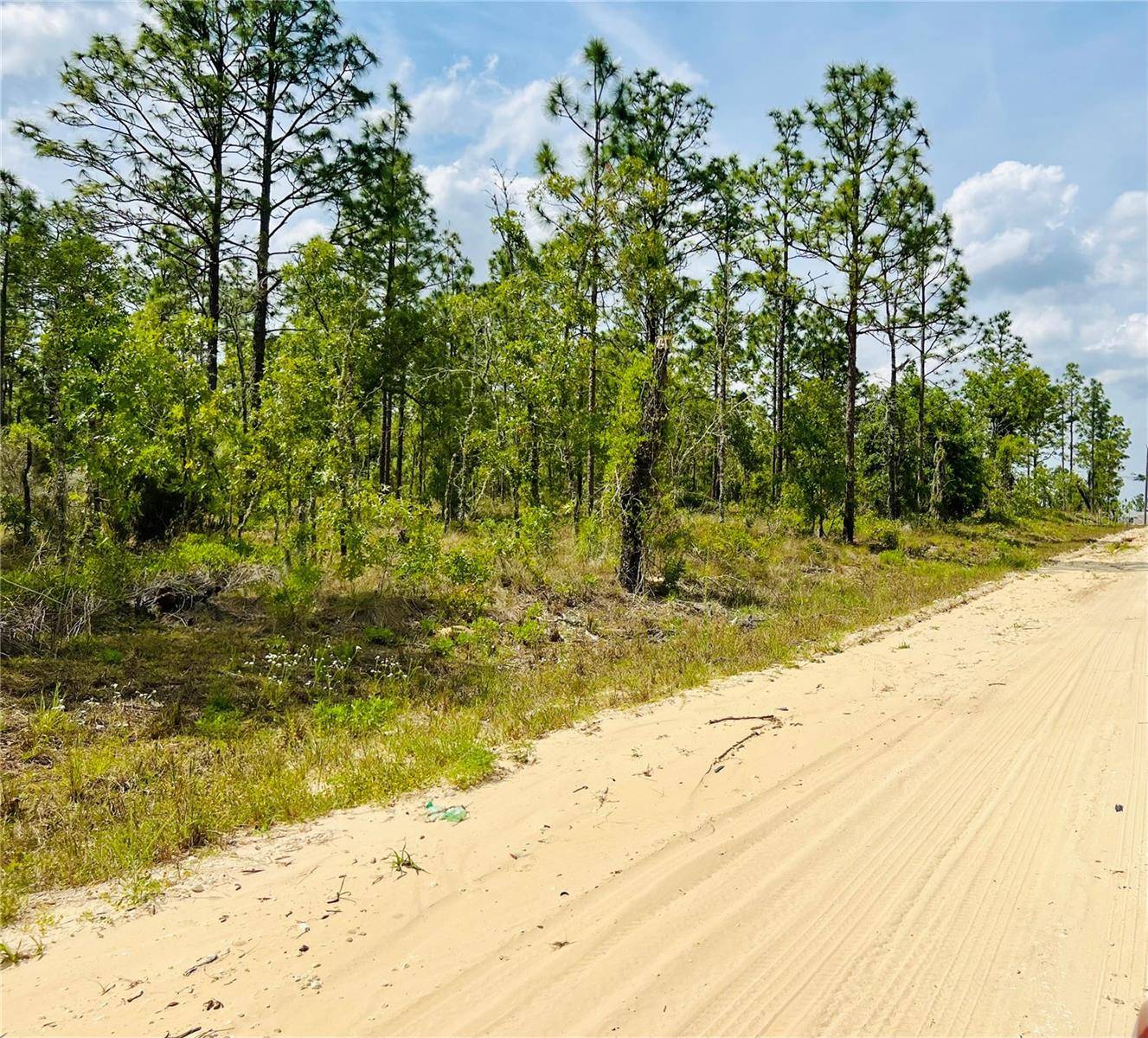 Williston, FL 32696,0000 NE 132 TERRACE TER