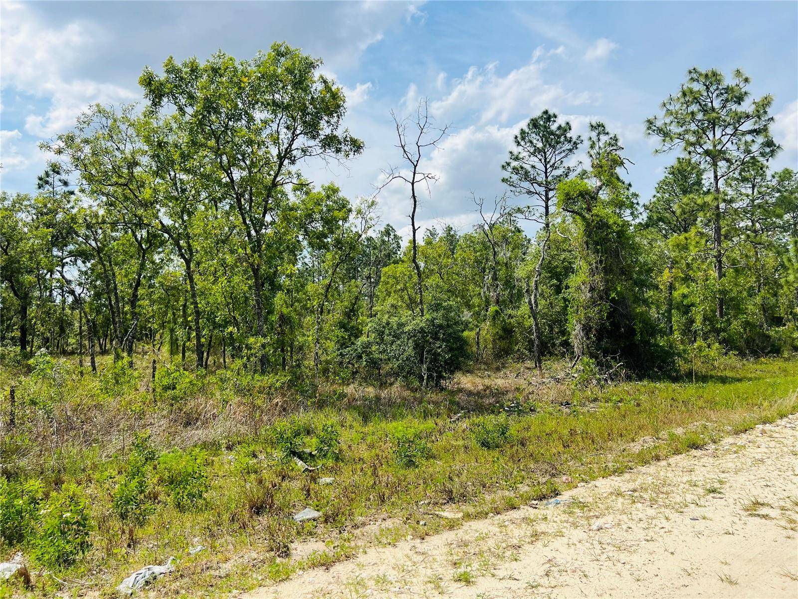 Williston, FL 32696,0000 NE 132 TERRACE TER